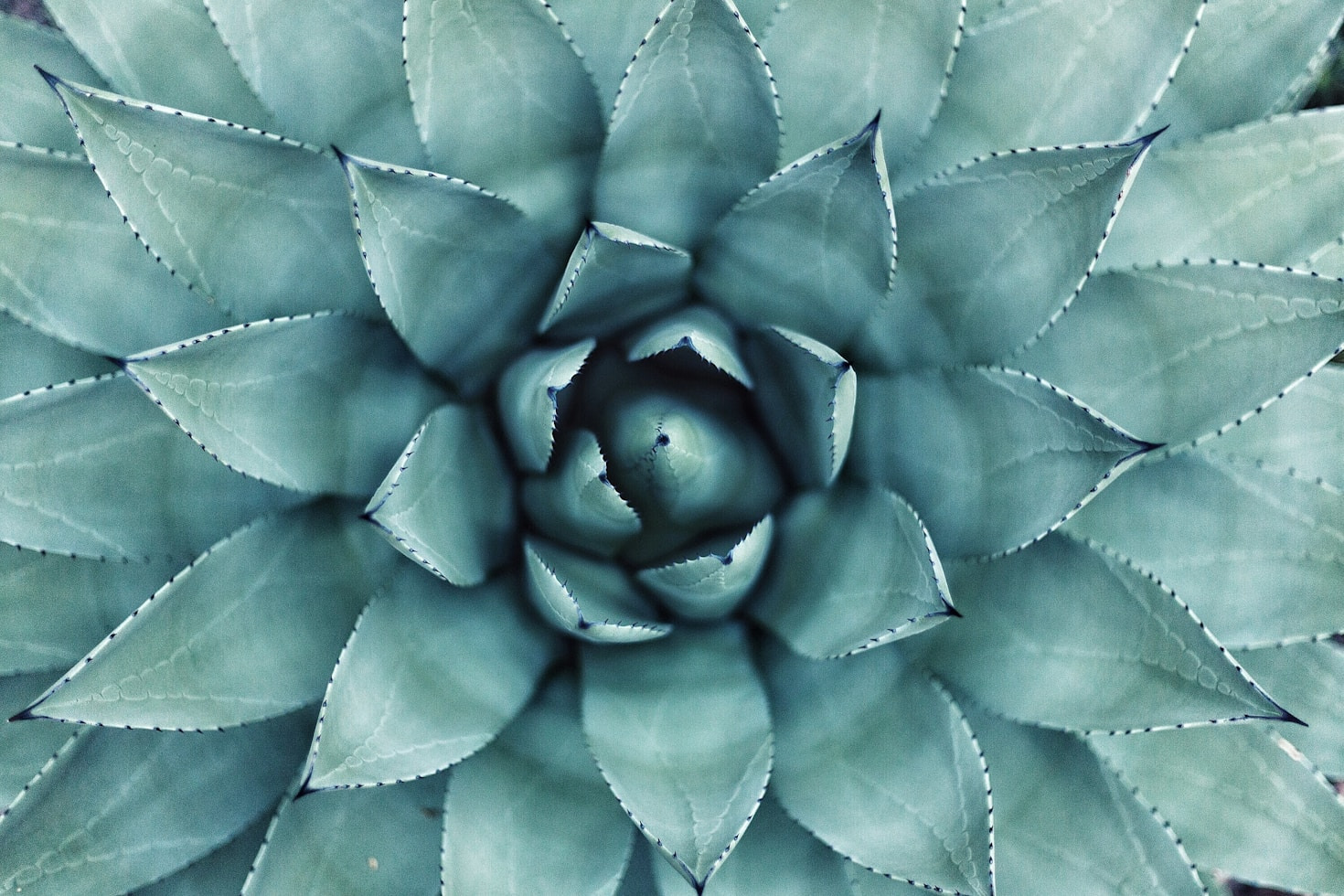 Come la prevenzione cambia il tuo futuro